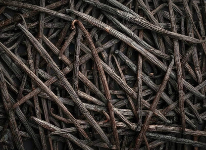 Close-up of dried vanilla beans